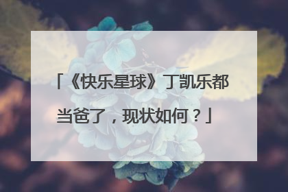 《快乐星球》丁凯乐都当爸了，现状如何？