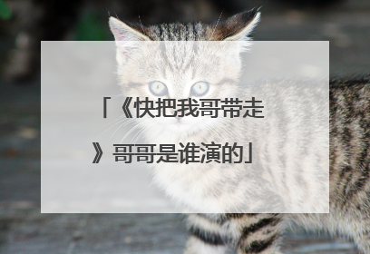 《快把我哥带走》哥哥是谁演的