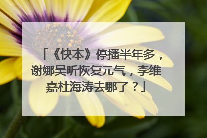 《快本》停播半年多,谢娜吴昕恢复元气,李维嘉杜海涛去哪了?