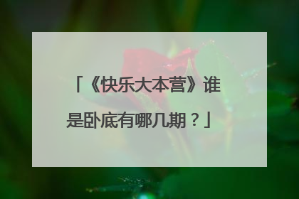 《快乐大本营》谁是卧底有哪几期？