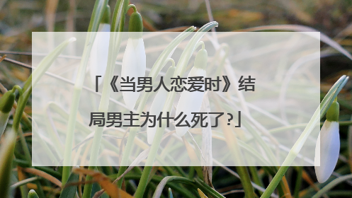《当男人恋爱时》结局男主为什么死了?