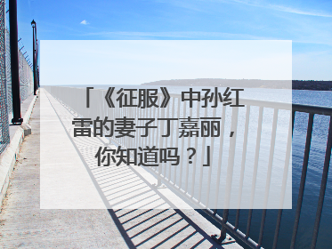 《征服》中孙红雷的妻子丁嘉丽，你知道吗？