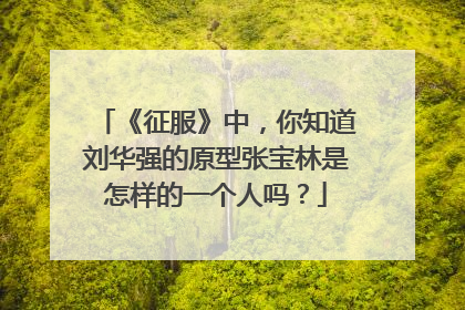 《征服》中，你知道刘华强的原型张宝林是怎样的一个人吗？