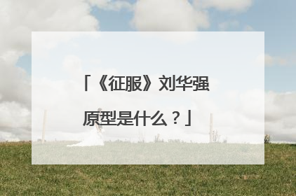 《征服》刘华强原型是什么？