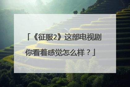 《征服2》这部电视剧你看着感觉怎么样?