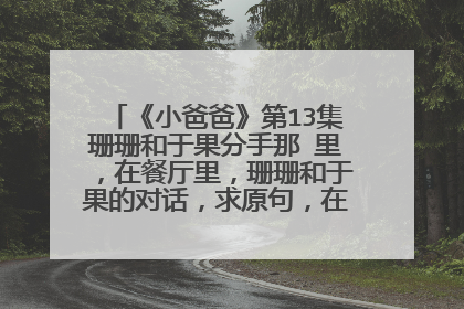 《小爸爸》第13集珊珊和于果分手那 里，在餐厅里，珊珊和于果的对话，求原句，在于果和分手