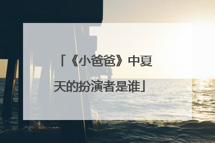 《小爸爸》中夏天的扮演者是谁