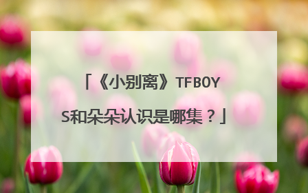《小别离》TFBOYS和朵朵认识是哪集?