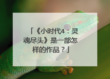 《小时代4:灵魂尽头》是一部怎样的作品?