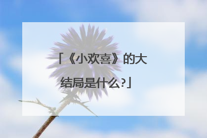 《小欢喜》的大结局是什么?