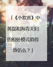 《小欢喜》中黄磊和海青夫妇的相处模式值得效仿么？