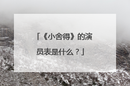 《小舍得》的演员表是什么？