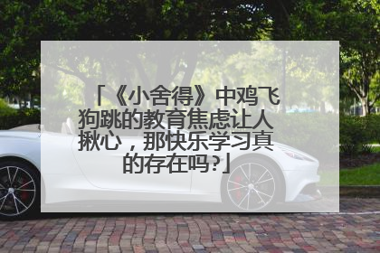 《小舍得》中鸡飞狗跳的教育焦虑让人揪心，那快乐学习真的存在吗?