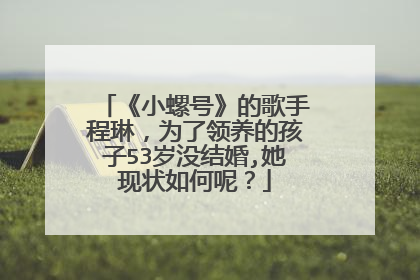 《小螺号》的歌手程琳,为了领养的孩子53岁没结婚,她现状如何呢?