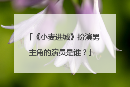 《小麦进城》扮演男主角的演员是谁？