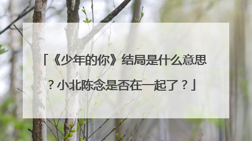 《少年的你》结局是什么意思?小北陈念是否在一起了?