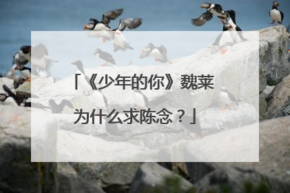 《少年的你》魏莱为什么求陈念?