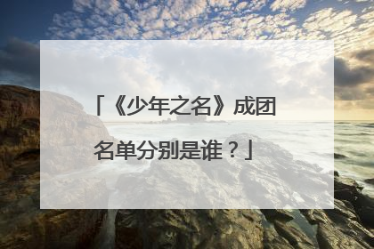 《少年之名》成团名单分别是谁？