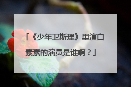 《少年卫斯理》里演白素素的演员是谁啊？