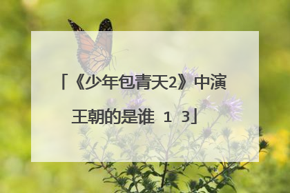 《少年包青天2》中演王朝的是谁�1�3