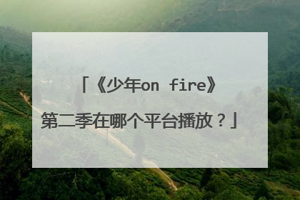 《少年on fire》第二季在哪个平台播放?