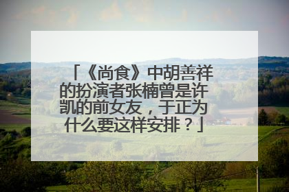 《尚食》中胡善祥的扮演者张楠曾是许凯的前女友，于正为什么要这样安排？