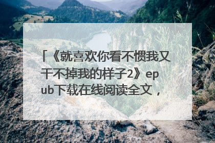 《就喜欢你看不惯我又干不掉我的样子2》epub下载在线阅读全文，求百度网盘云资源
