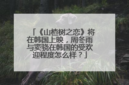 《山楂树之恋》将在韩国上映,周冬雨与窦骁在韩国的受欢迎程度怎么样?