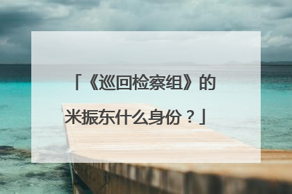 《巡回检察组》的米振东什么身份?