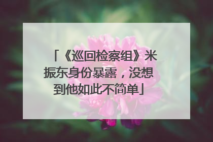 《巡回检察组》米振东身份暴露,没想到他如此不简单