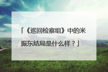《巡回检察组》中的米振东结局是什么样？