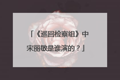 《巡回检察组》中宋丽敏是谁演的?