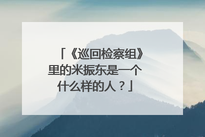 《巡回检察组》里的米振东是一个什么样的人？