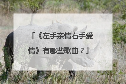 《左手亲情右手爱情》有哪些歌曲？