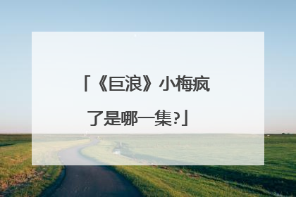 《巨浪》小梅疯了是哪一集?
