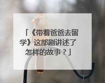 《带着爸爸去留学》这部剧讲述了怎样的故事？