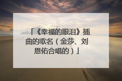 《幸福的眼泪》插曲的歌名（金莎、刘恩佑合唱的）