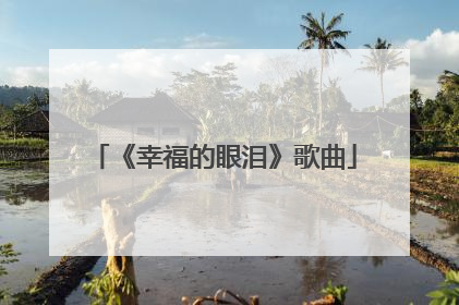 《幸福的眼泪》歌曲