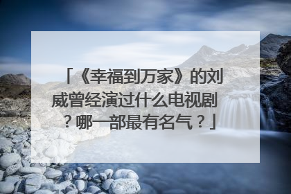 《幸福到万家》的刘威曾经演过什么电视剧？哪一部最有名气？