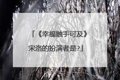 《幸福触手可及》宋洛的扮演者是?