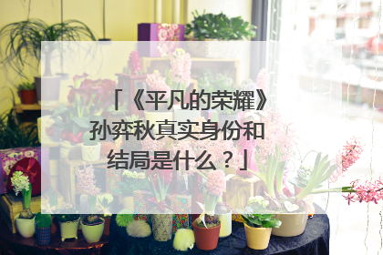 《平凡的荣耀》孙弈秋真实身份和结局是什么？