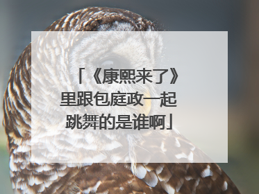 《康熙来了》里跟包庭政一起跳舞的是谁啊