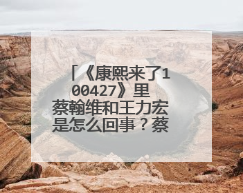 《康熙来了100427》里蔡翰维和王力宏是怎么回事？蔡翰维是基么？