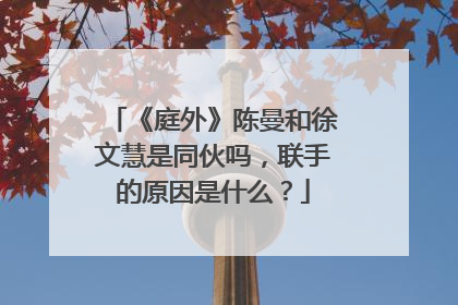 《庭外》陈曼和徐文慧是同伙吗，联手的原因是什么？