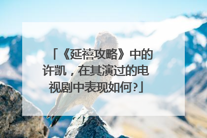 《延禧攻略》中的许凯，在其演过的电视剧中表现如何?