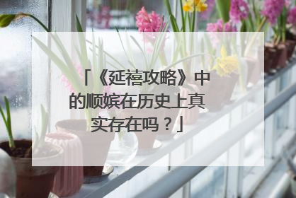 《延禧攻略》中的顺嫔在历史上真实存在吗?