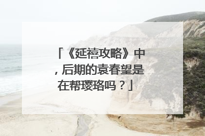 《延禧攻略》中，后期的袁春望是在帮璎珞吗？