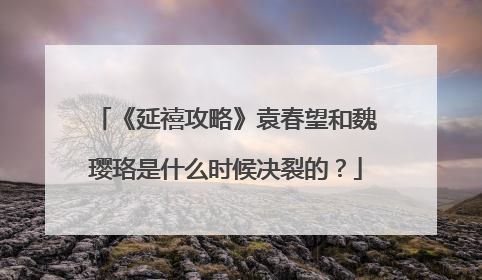 《延禧攻略》袁春望和魏璎珞是什么时候决裂的？