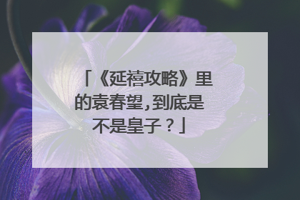 《延禧攻略》里的袁春望,到底是不是皇子？