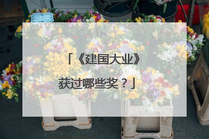 《建国大业》获过哪些奖？